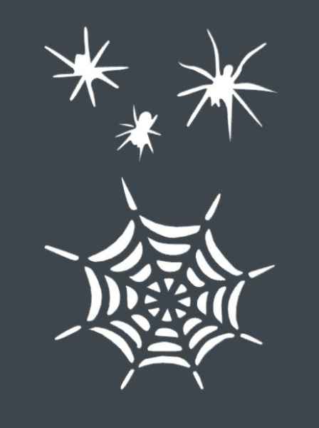 araignees-toile-jpg