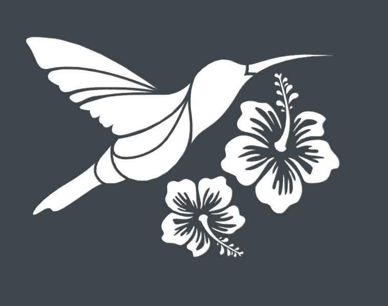 colibri-hibiscus-jpg