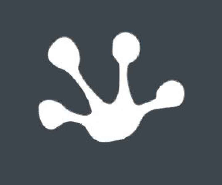 empreinte-grenouille-jpg