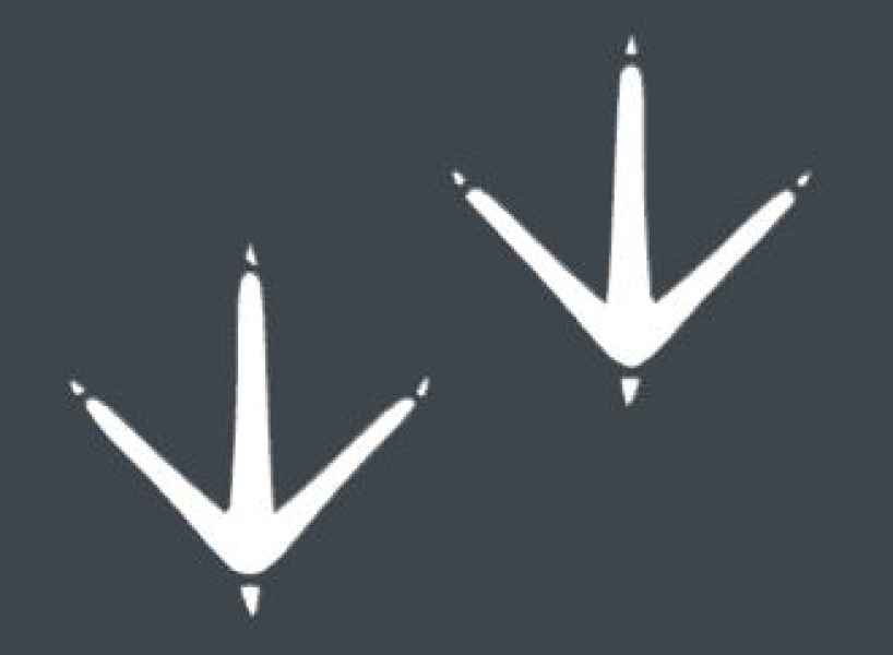 empreinte-oiseau-jpg