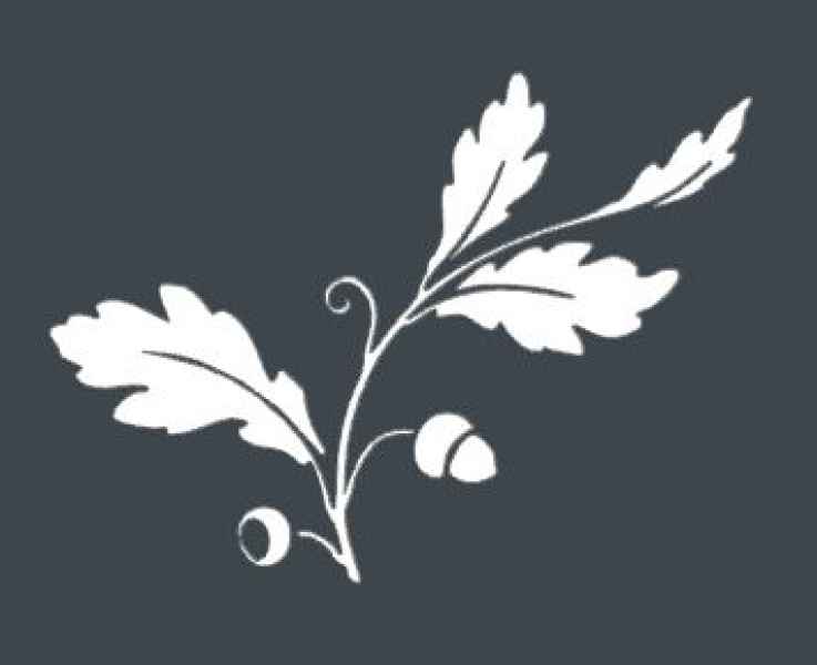 feuilles-chene-1-jpg